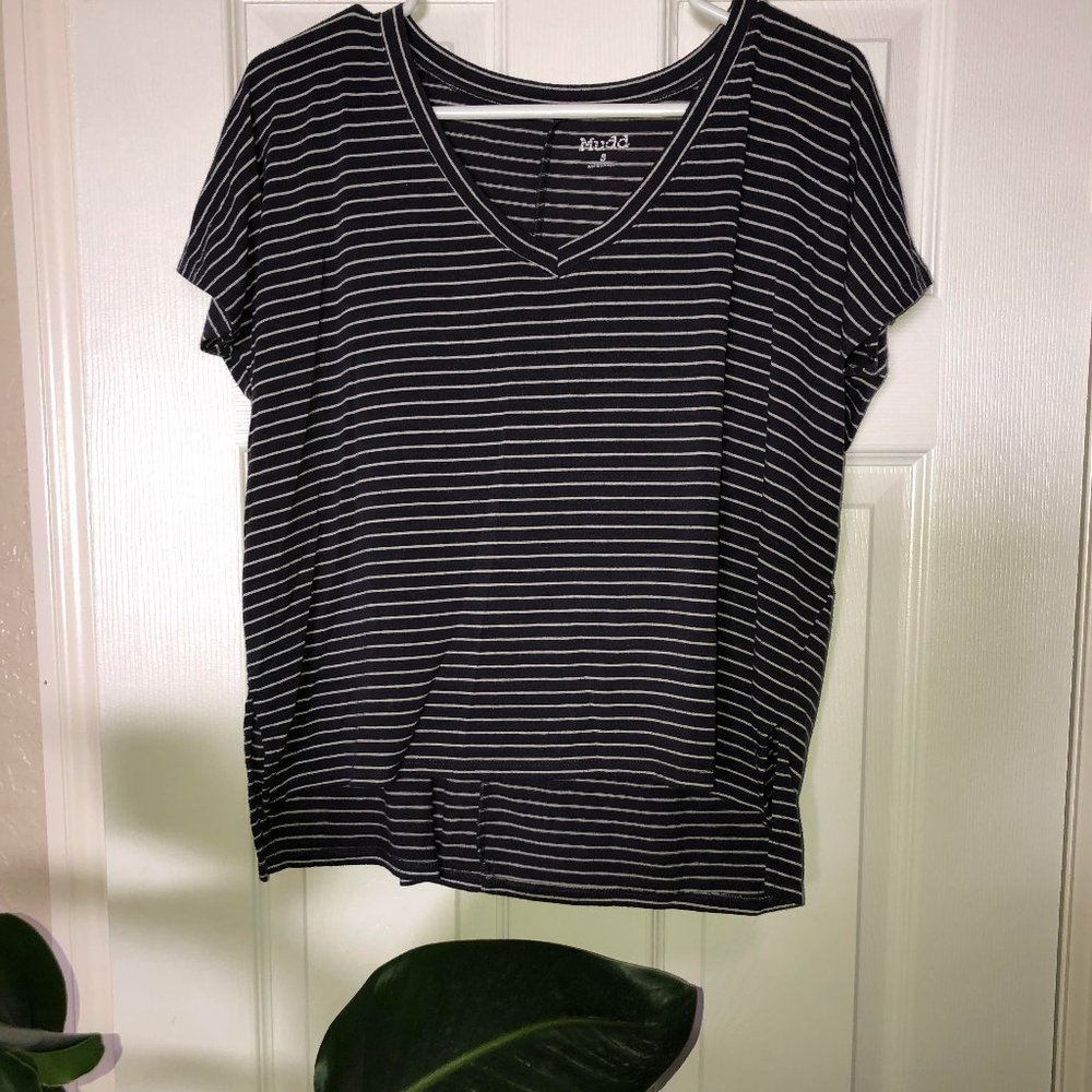 Striped Navy Mudd V Neck